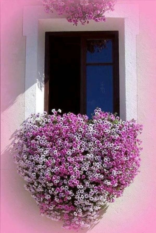 55 Balcony Greenery Ideas – Choose flowers for balcony and arrange