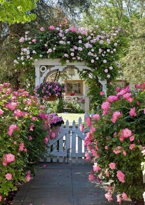 70 Fabulous Images For Front Yard Design Interior Ideas Vibrant Garden Roses Greet Passers 70 Fabulous Images For Front Yard Design
