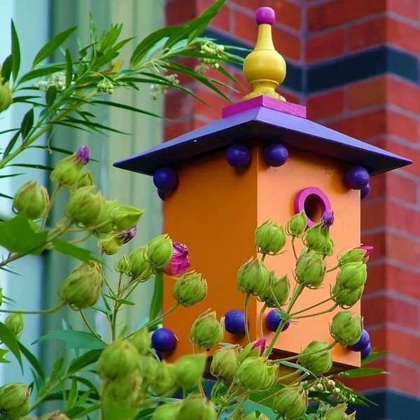Pictures of bird houses to color Pictures of bird houses to color
