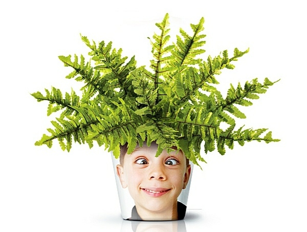 Modern Planters with Face - Funny cool decoration ideas Modern Planters with Face - Funny cool decoration ideas