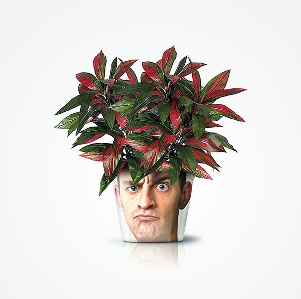 Modern Planters with Face - Funny cool decoration ideas Modern Planters with Face - Funny cool decoration ideas