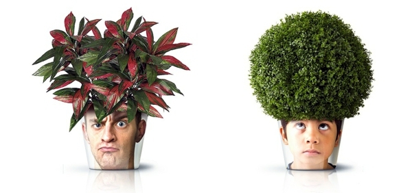 Modern Planters with Face - Funny cool decoration ideas Modern Planters with Face - Funny cool decoration ideas