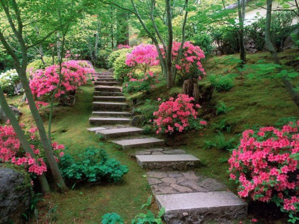 Creative design rock garden - 30 frames and custom garden ideas Creative design rock garden - 30 frames and custom garden ideas