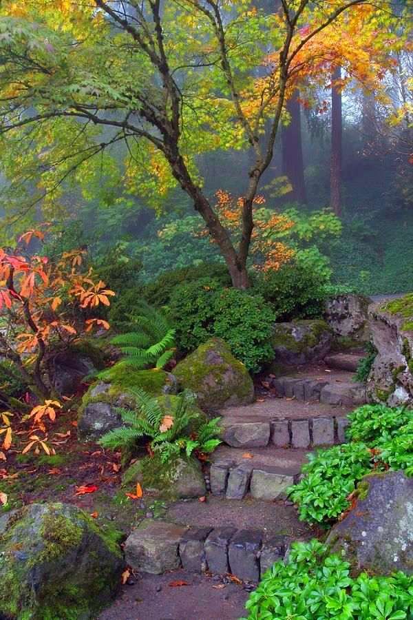 Creative design rock garden - 30 frames and custom garden ideas Creative design rock garden - 30 frames and custom garden ideas