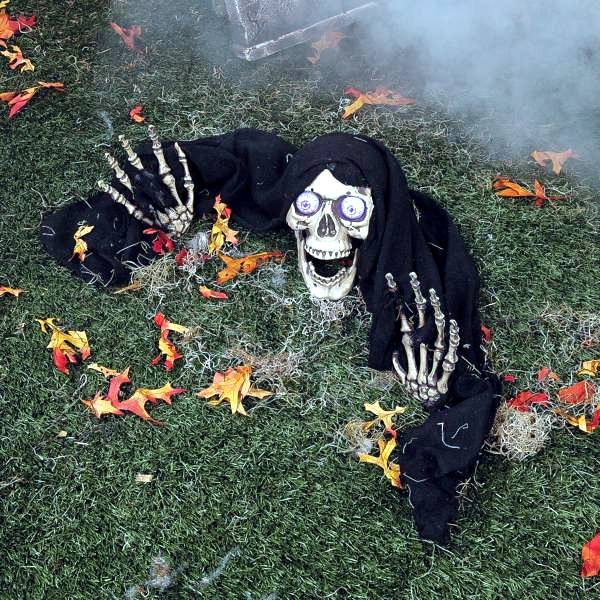 halloween party decoration in garden