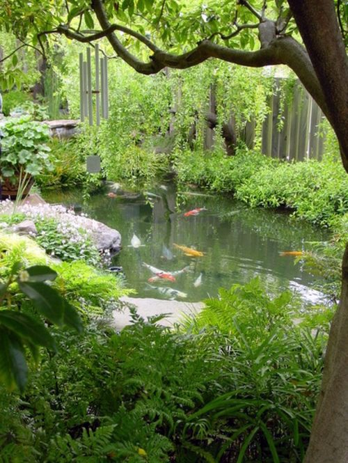 Creating a koi pond in the garden - typical extra for the Asian and tropical-inspired ambiance Garden & Plants