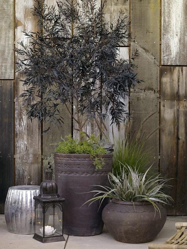 Garden design ideas - photos for Garden Decor Garden design ideas - photos for Garden Decor