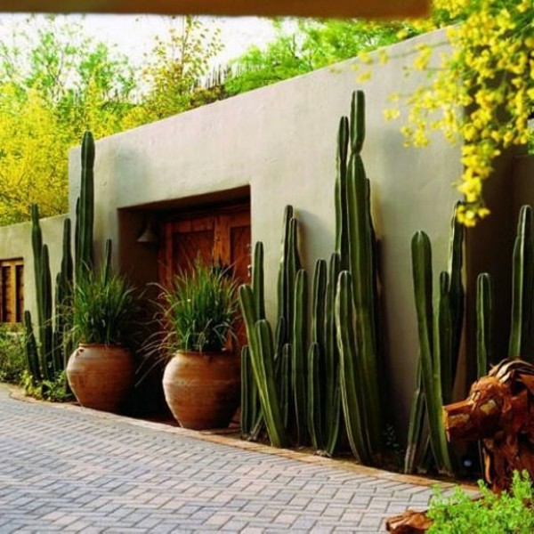 Garden design ideas - photos for Garden Decor Garden design ideas - photos for Garden Decor