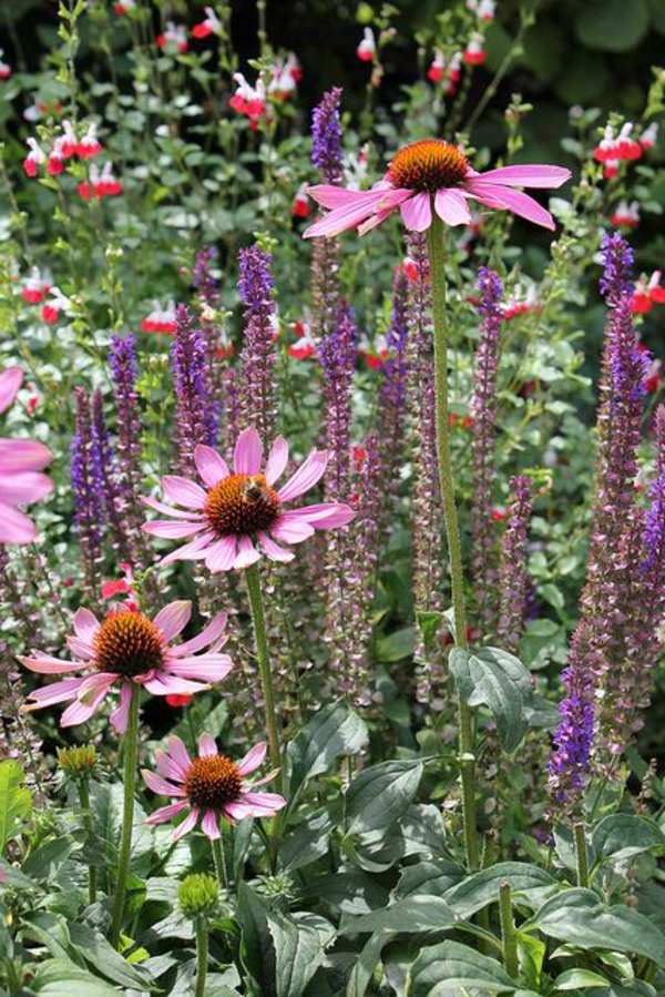 Garden design ideas - photos for Garden Decor Garden design ideas - photos for Garden Decor