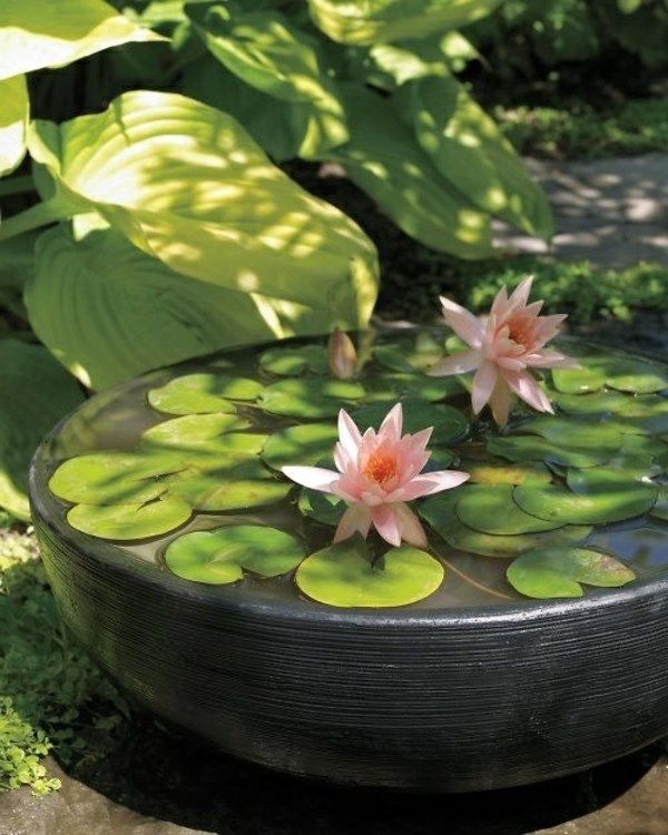 Garden design ideas - photos for Garden Decor Garden design ideas - photos for Garden Decor