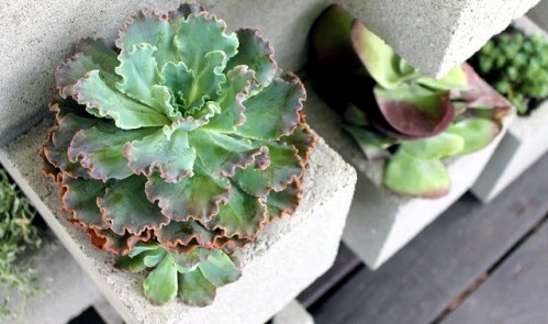 DIY flower pots made of concrete - 12 great projects for growers outside DIY flower pots made of concrete - 12 great projects for growers outside