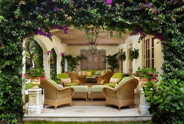 Hanging indoor plants and patio plants - hanging plants for the purpose of green house Hanging indoor plants and patio plants - hanging plants for the purpose of green house