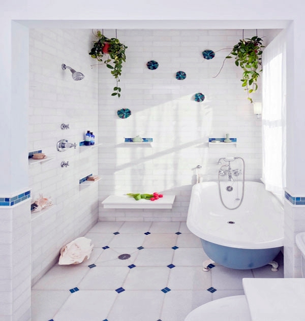 Hanging indoor plants and patio plants - hanging plants for the purpose of green house Hanging indoor plants and patio plants - hanging plants for the purpose of green house