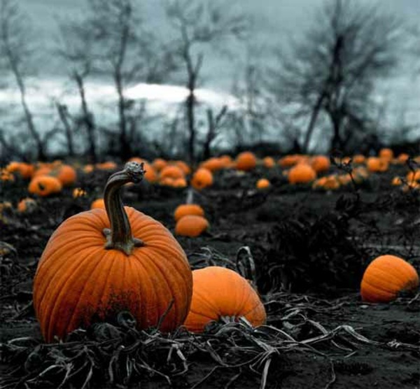 Halloween Schminken - Capture the perfect moment - Horror Halloween images Halloween Schminken - Capture the perfect moment - Horror Halloween images