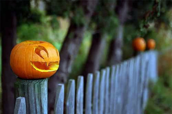 Capture the perfect moment - Horror Halloween images Capture the perfect moment - Horror Halloween images