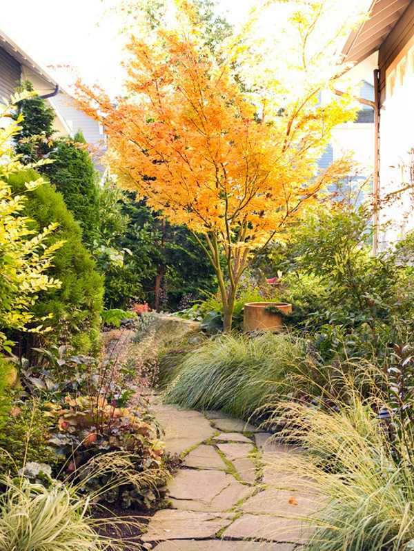 Plan your landscape budget with our ideas Plan your landscape budget with our ideas