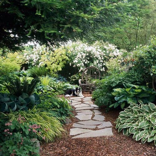 Create a shaded seating area in the garden Create a shaded seating area in the garden