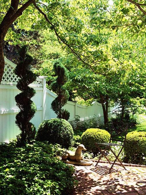 Create a shaded seating area in the garden Create a shaded seating area in the garden