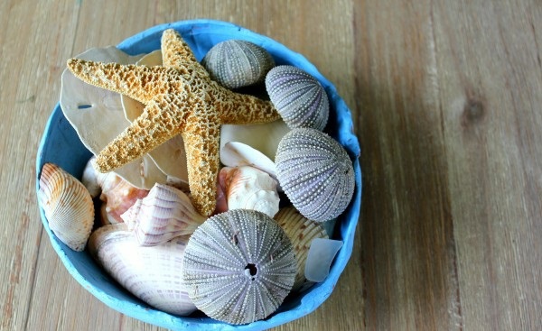 Bastelideen - Summer Souvenirs - Mediterranean decoration refreshes the living environment Bastelideen - Summer Souvenirs - Mediterranean decoration refreshes the living environment