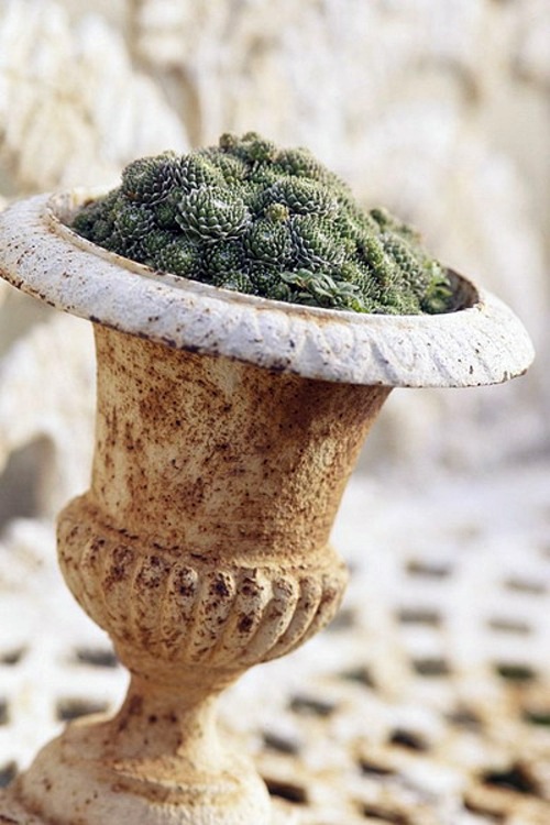 24 cool vintage flower pots in the garden Interior Design Ideas