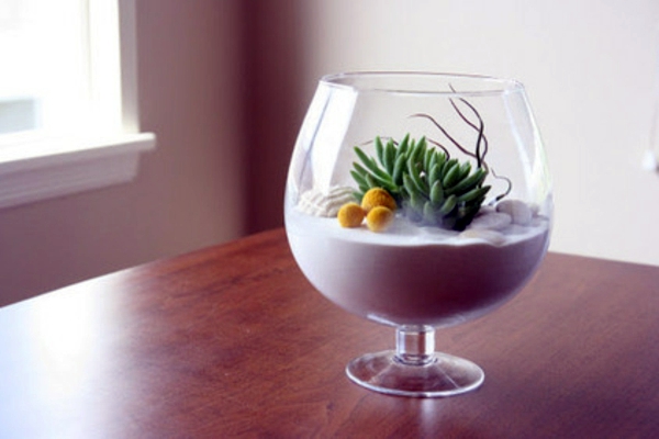 Image result for terrarium champagne design