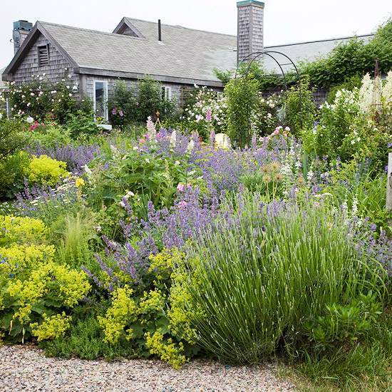 Compatible drought plants – beautiful garden ideas