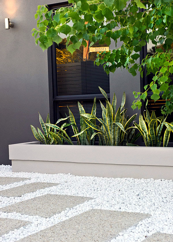 The best plants for shaded areas | Interior Design Ideas ...