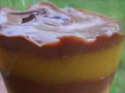 Duo of chocolate and orange cream