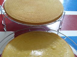 Genoese gluten and milk