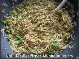 Noodles and mung bean sprouts curry