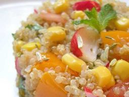 Quinoa in monochrome yellow, orange, pink and red