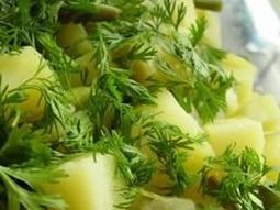 Summer Couscous