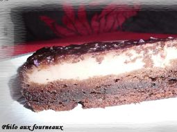 The incredible magic chocolate cake