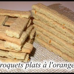 Croquettes dishes Orange