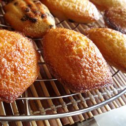 Madeleines