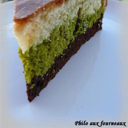 Marbled way Savannah