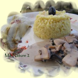 Millet risotto mushroom sauce with black olives
