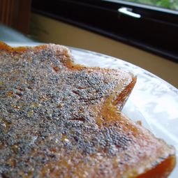 Triangles orange lemon poppy seed