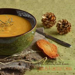 Velvety soft coral lentils carrots