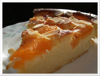 Cake Apricot Almond Clafoutis way