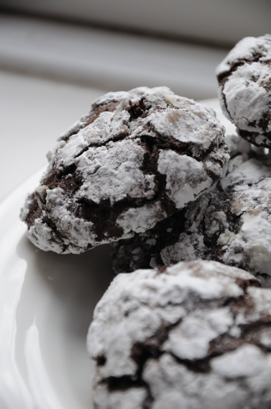 Chocolate Cookies