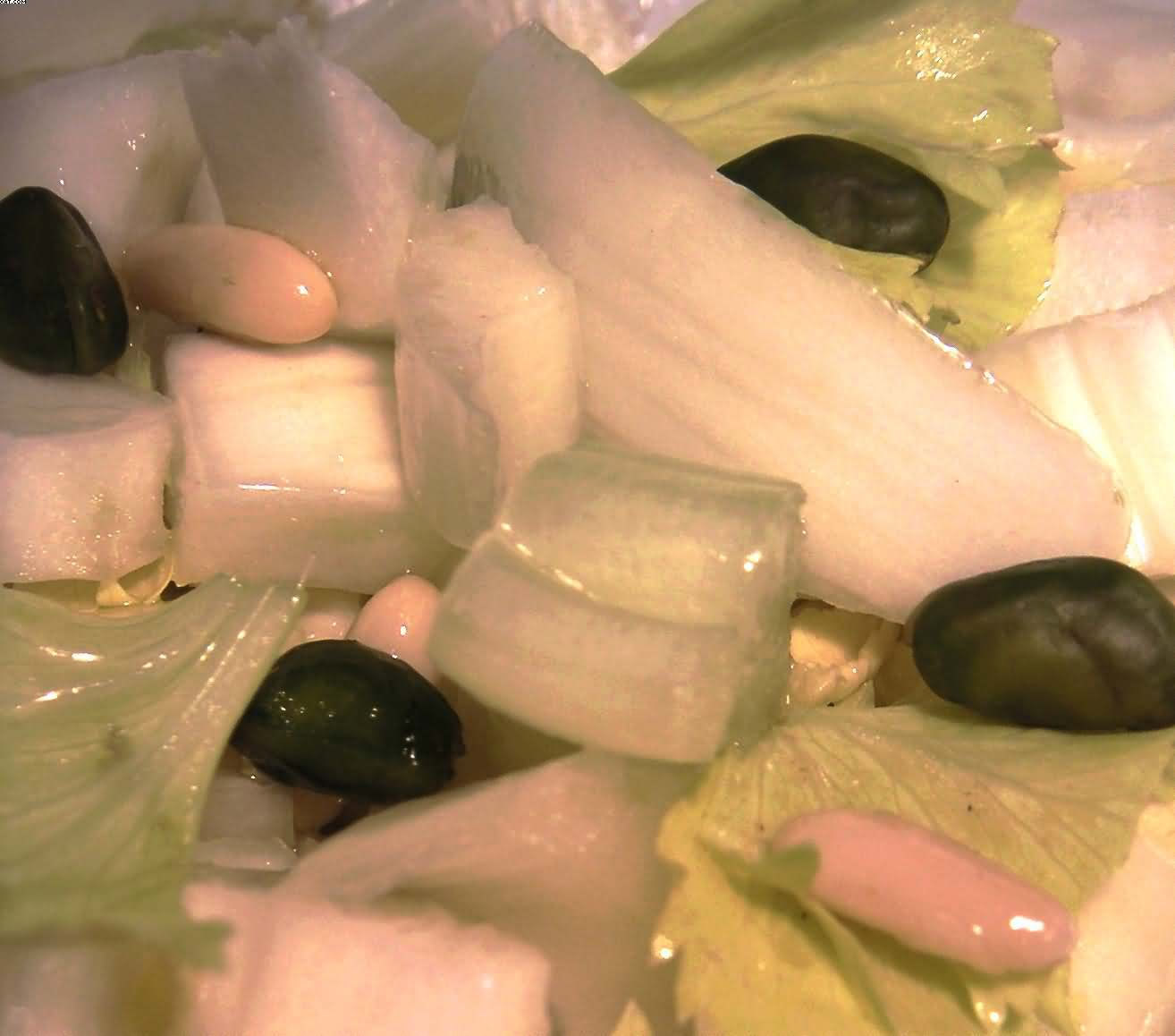 Fennel salad, celery and endive