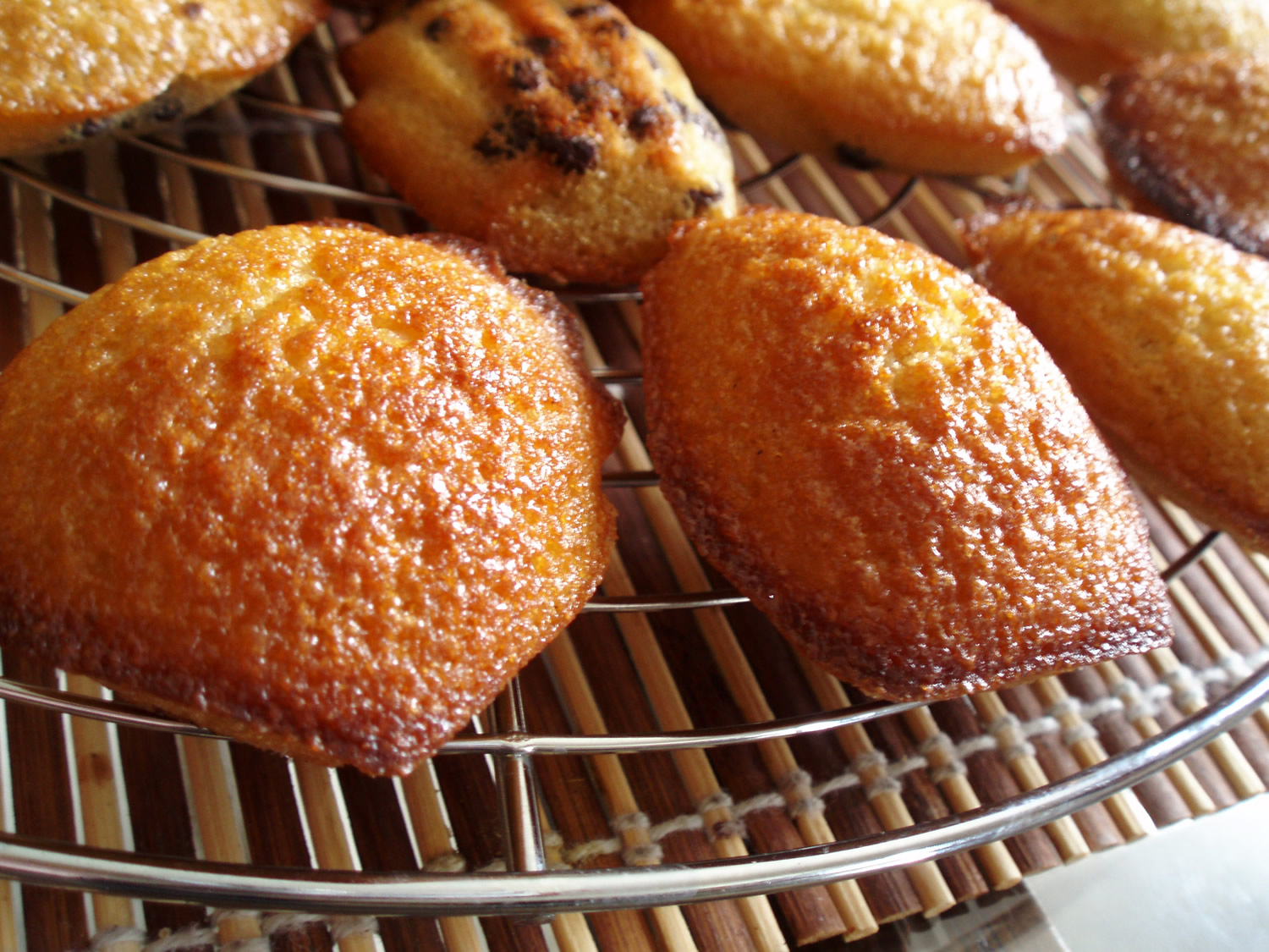 Madeleines | Avso