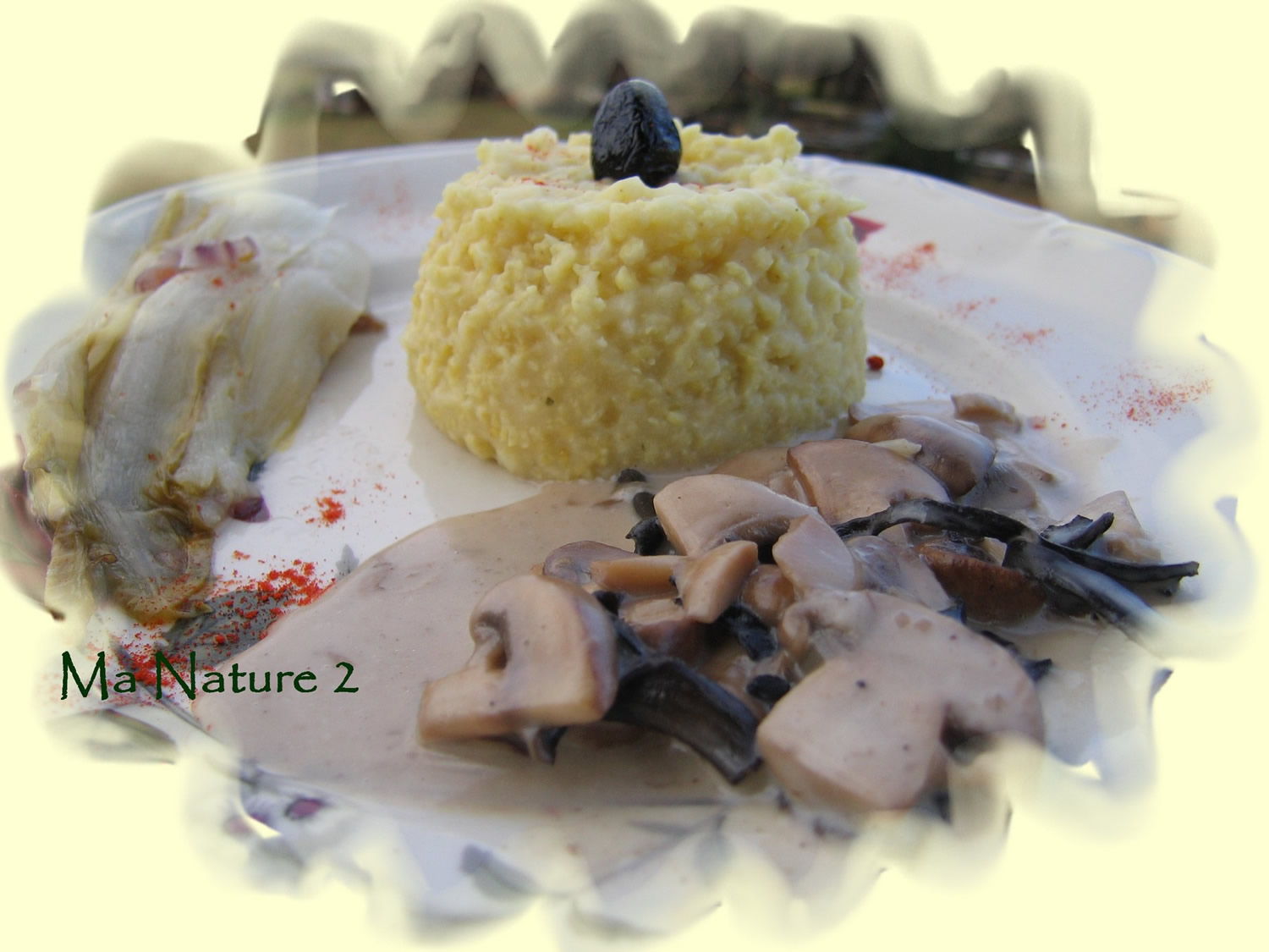 Millet risotto mushroom sauce with black olives