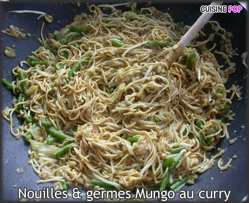 Noodles and mung bean sprouts curry