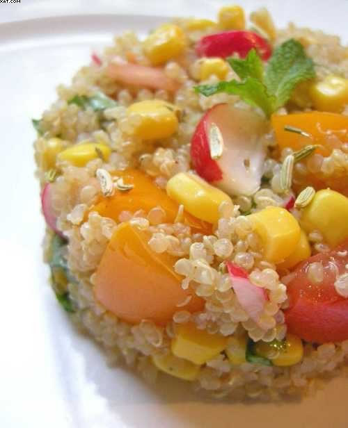 Quinoa in monochrome yellow, orange, pink and red