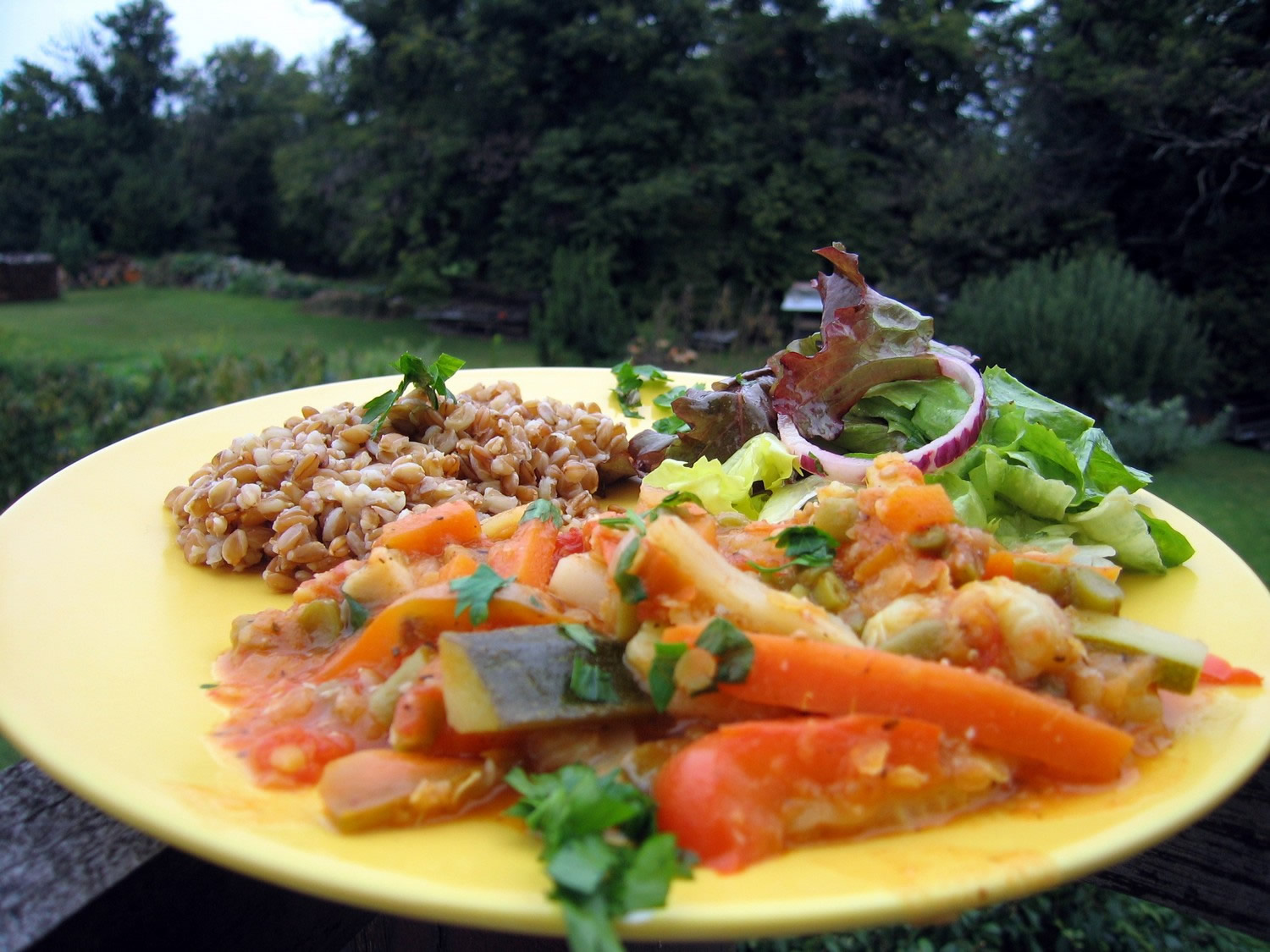 Spelt Pilaf with vegetables