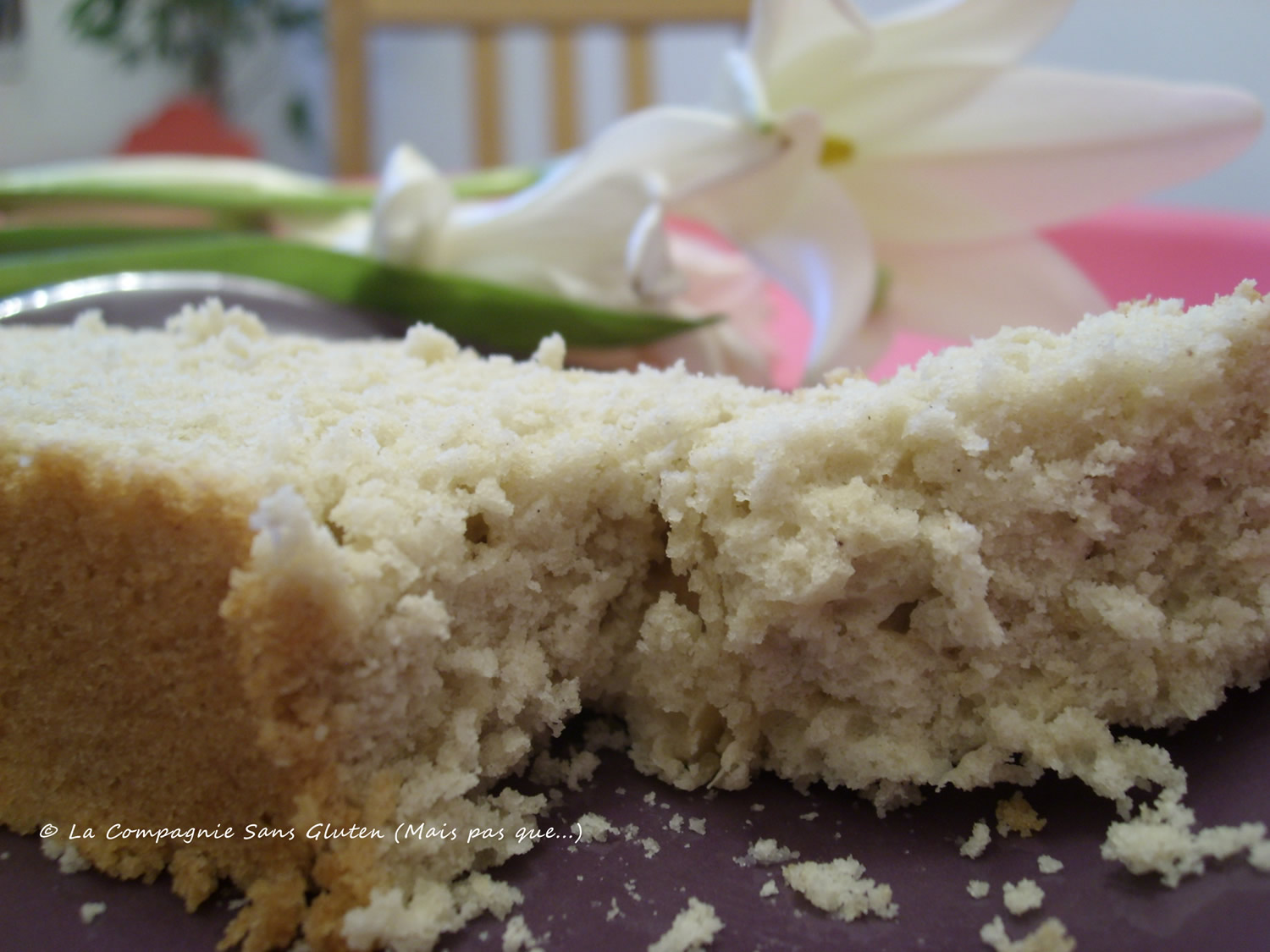 Yogurt cake gluten and milk