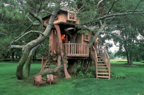 11 architectural ideas for fantastic tree houses