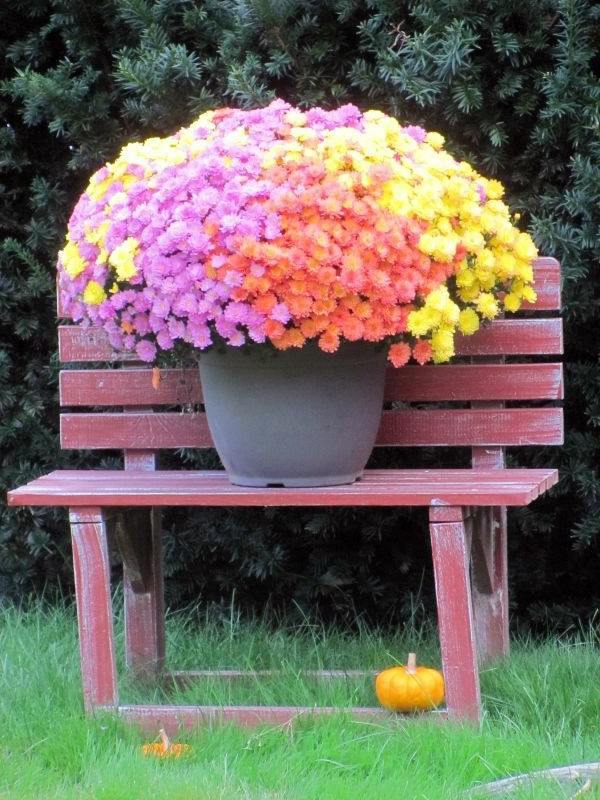 20 tips for garden accessories and garden decorations that will liven